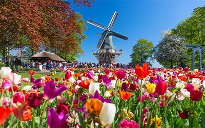 春のオランダ・ベルギー 6日間