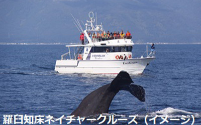 12/11（月）、1/15(月)出発 
羽田発着ANA利用！台湾グルメ＆定番観光 4日間