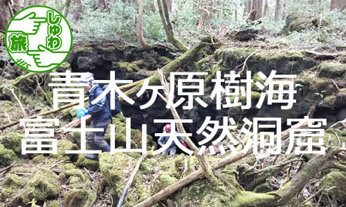 【しゅわ旅】手話対応の登山ガイドが同行！リアルな洞窟体験を堪能、神秘の青木ヶ原樹海と富士山天然洞窟の旅