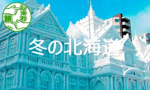 【しゅわ旅】北海道3つの冬まつりと旭山動物園と流氷砕氷船、この時期だからこそ！冬の北海道3日間
