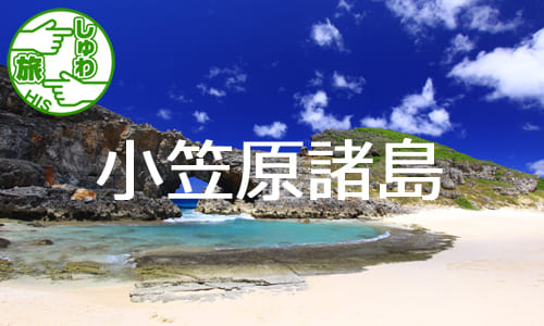 【しゅわ旅】神秘と奇跡の島で、海も山も自然を堪能！小笠原諸島・父島６日間の旅