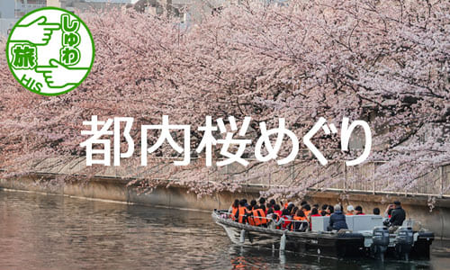 【しゅわ旅】憧れの東京ステーションホテル宿泊！都内の桜めぐりと桜クルーズ2日間