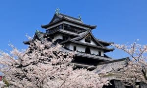 春の松江城