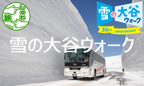 立山黒部アルペンルート最高所に宿泊、朝一番にご案内する雪の大谷ウォーク２日間