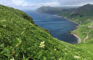 礼文島（イメージ）