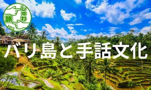 ろう者の村と呼ばれるBengkala村で手話文化を学ぶ！バリ島満喫6日間