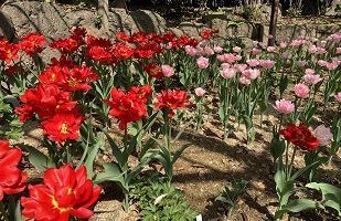 由志園（イメージ）