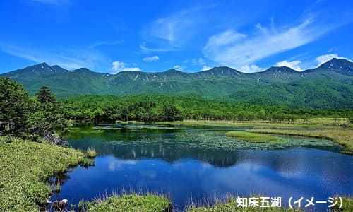 【北海道／中部発】世界自然遺産・知床 3日間