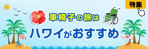 hnl_banner