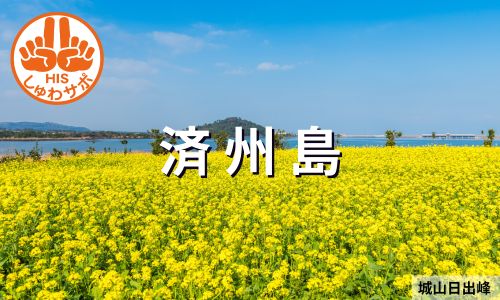 春らんまん！菜の花咲き乱れる、済州島3日間