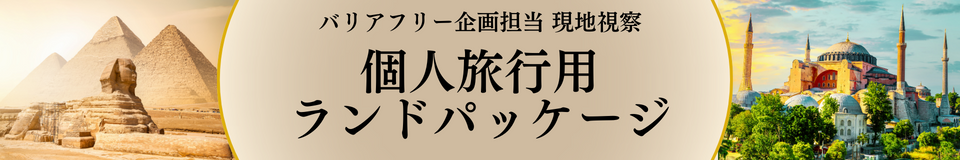 車椅子利用者向け　ランドパッケージプラン