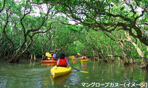 【奄美大島】JAL直行便利用！観光プラン奄美大島4日間