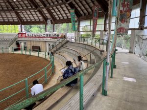 牛突き観戦・隠岐モーモードーム