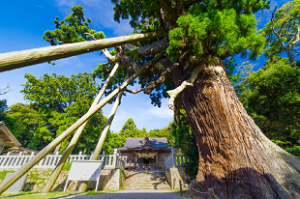玉若酢命(たまわかすのみこと)神社（イメージ）©隠岐ジオパーク推進機構