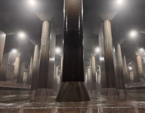 img_8633