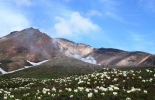 旭岳（イメージ）