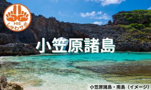 神秘と奇跡の島で大自然を堪能！小笠原諸島6日間