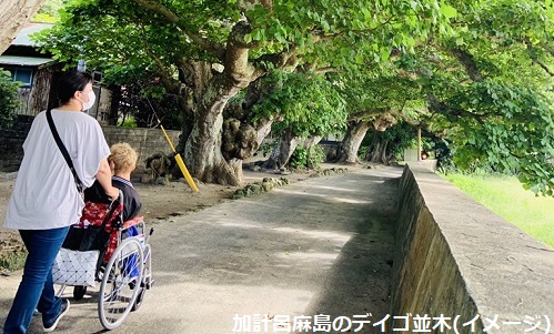 【奄美大島（伊丹発）】加計呂麻島へ日帰り渡航！奄美大島4日間