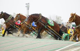 ばんえい競馬 (イメージ)