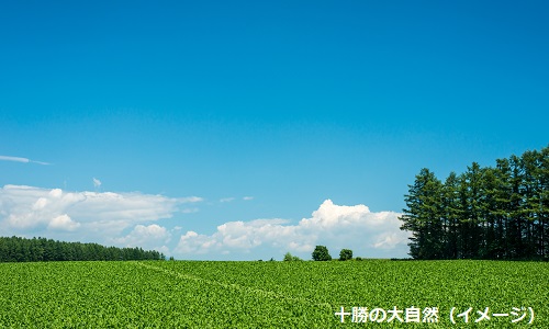 【北海道】十勝ガーデン街道と、農場＆牧場見学 とかち帯広3日間