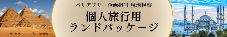 車椅子利用者向け　ランドパッケージプラン