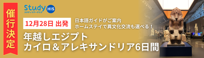12/28発studyエジプトツアー