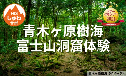 手話対応の登山ガイド同行、神秘の青木ヶ原樹海と富士山天然洞窟体験