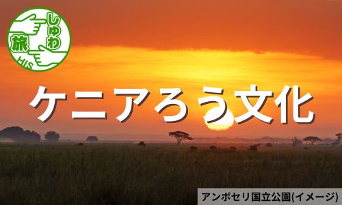 ケニアろう者のカフェとアフリカ手話アプリ企業から学ぶ、ナイロビ6日間