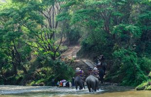 エレファントキャンプ（イメージ）