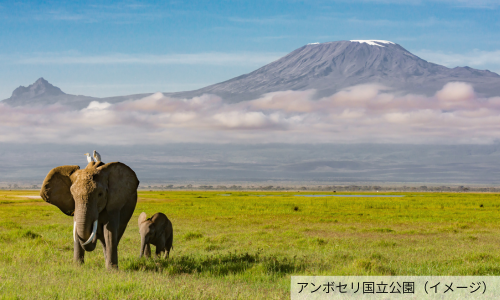 【ケニア】命の鼓動と未来の希望、絆を紡ぐケニア大自然紀行6日間