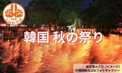 伝統的な威安落火ノリと晋州南江流灯祭へ、秋の釜山周遊4日間