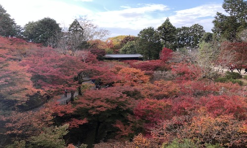 【京都】8名様限定！秋の京都 3日間