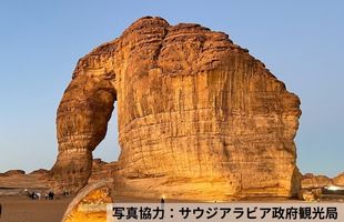 エレファントロック（イメージ）