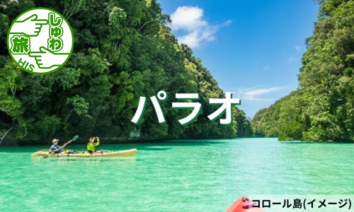 往復直行便利用5時間で行ける楽園！パラオ5日間